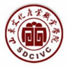 山东文化产业职业学院