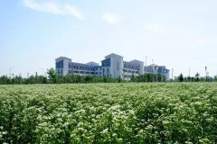 潍坊工商职业学院2022年单招、综评招生计划